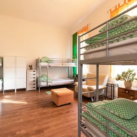 Auberge de jeunesse Fluxus *